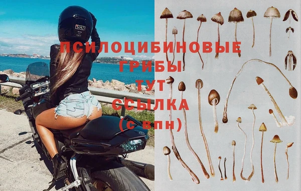 мет Богородицк