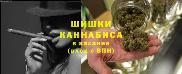 ECSTASY Богданович