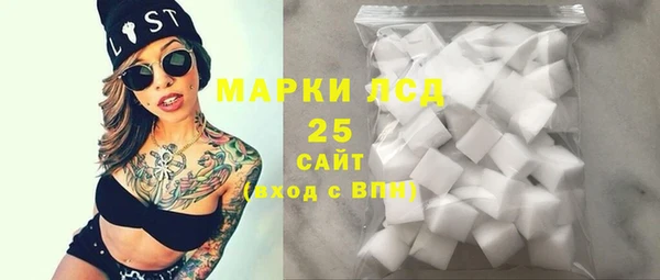ECSTASY Богданович