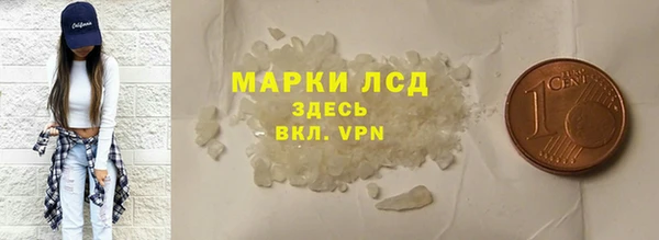 ECSTASY Богданович