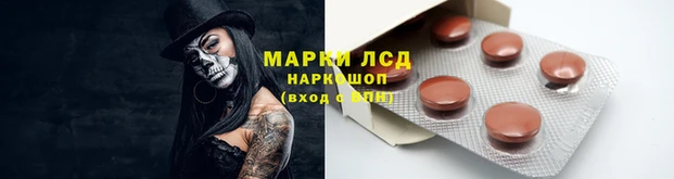 ECSTASY Богданович