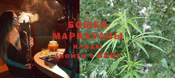 МДПВ Богородск