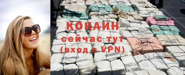 МДПВ Богородск