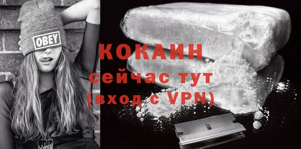 ECSTASY Богданович