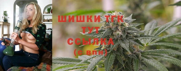 МДПВ Богородск