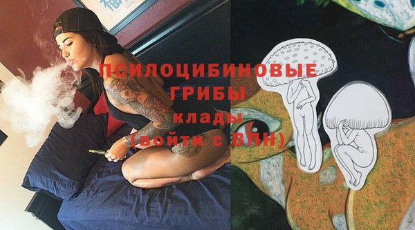 ECSTASY Богданович